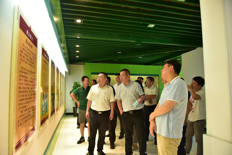 市政分公司黨總支、合肥市重點局直屬黨委第二黨支部聯(lián)合開展主題黨日活動3